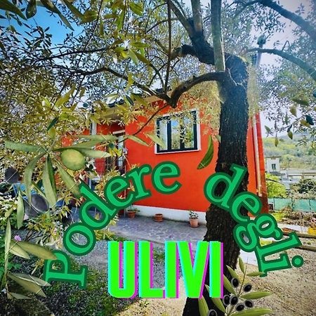 Podere Degli Ulivi Family Villa Serravalle Pistoiese Buitenkant foto